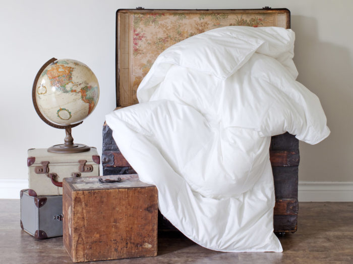 DOWN TRAVEL DUVETS